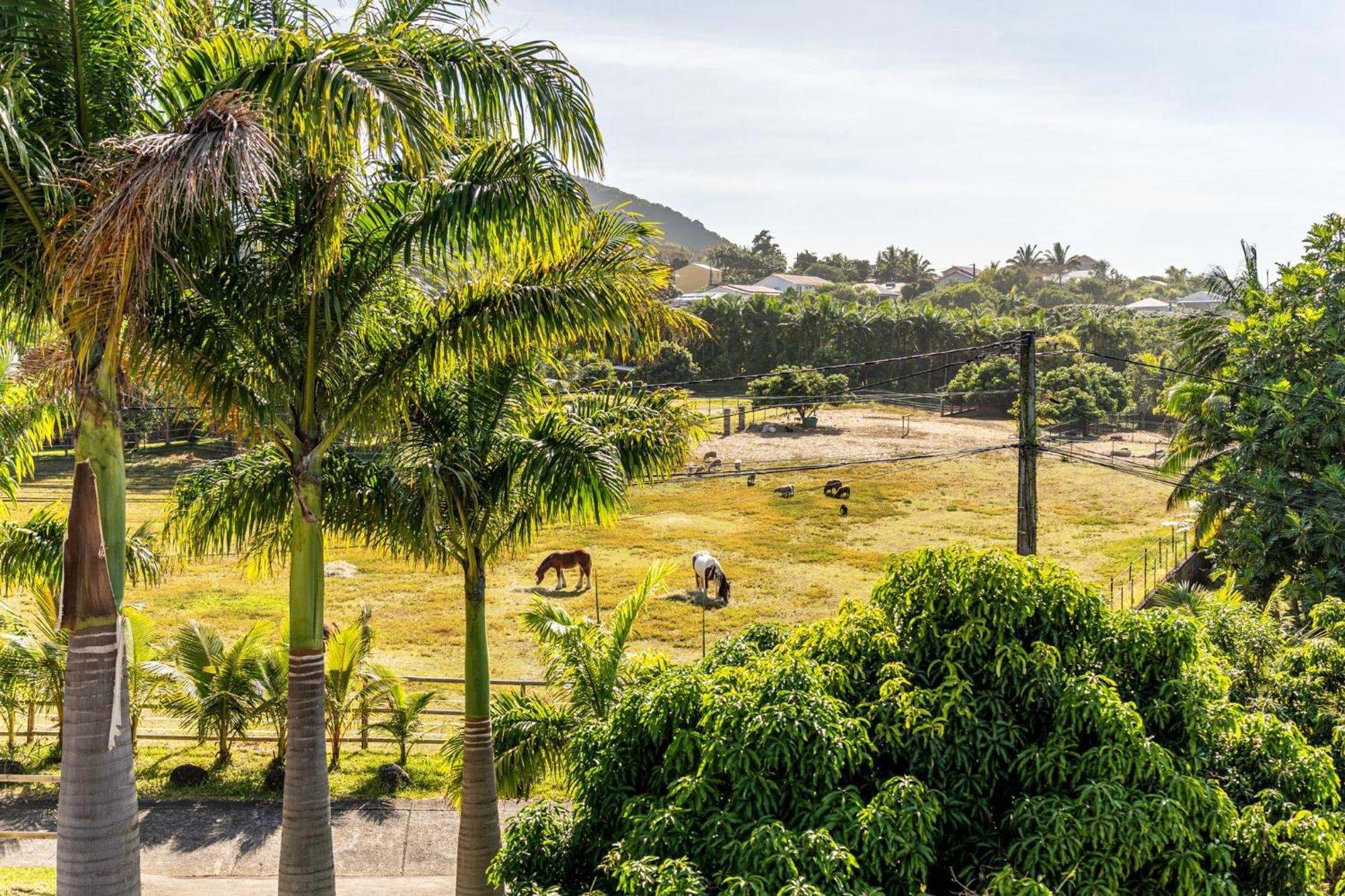 סיינט ג'וזף Villa Et Grand Jacuzzi Six Personnes, En Pleine Nature מראה חיצוני תמונה